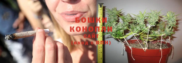 шишки Ханты-Мансийск